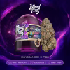 Wizard Trees Tide Banger Cannabis 3.5g kaufen in Deutschland