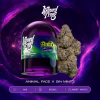 Wizard Trees 3.5g Jar Antidote kaufen in Deutschland