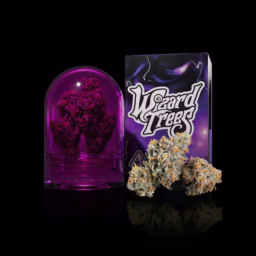 Wizard Trees Jar 11:11 kaufen in Deutschland