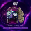 Wizard Trees 3.5g Jar Black Light kaufen in Deutschland