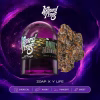 Wizard Trees Dark Matter Weed 3.5g kaufen in Deutschland