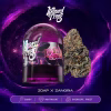 Wizard Trees Zoza Cannabis 3.5g kaufen in Deutschland