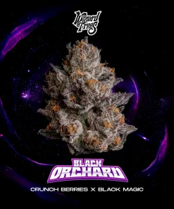 Wizard Trees Black Orchard Cannabis Samen kaufen in Deutschland