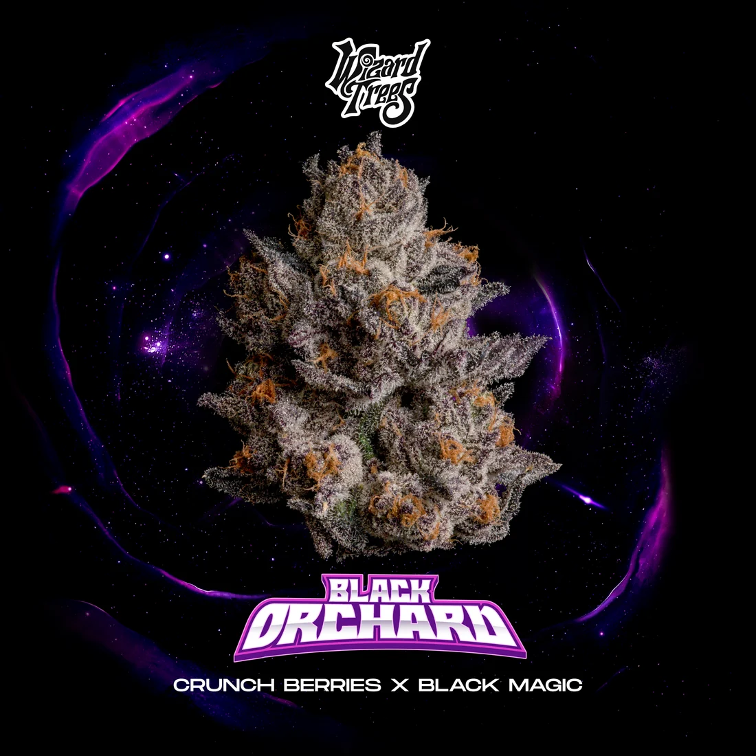Wizard Trees Black Orchard Cannabis Samen kaufen in Deutschland