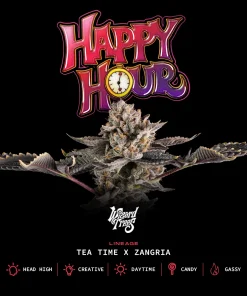Wizard Trees Happy Hour Samen kaufen in Deutschland