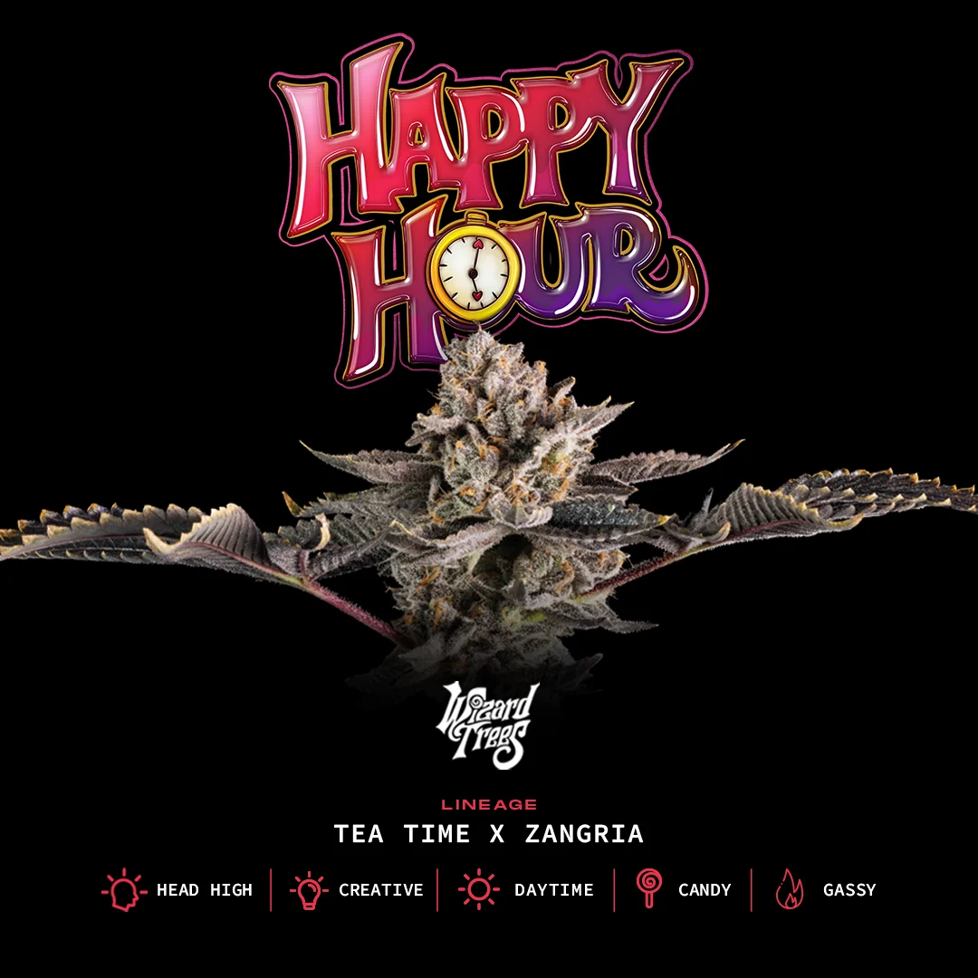 Wizard Trees Happy Hour Samen kaufen in Deutschland