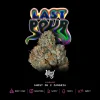 Wizard Trees Last Pour Samen kaufen in Deutschland