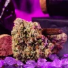 Wizard Trees Wizard Fuel Samen kaufen in Deutschland