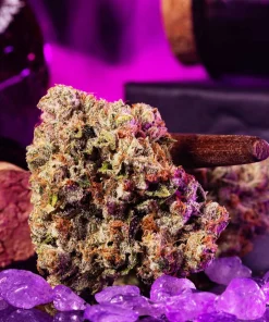 Wizard Trees Wizard Fuel Samen kaufen in Deutschland