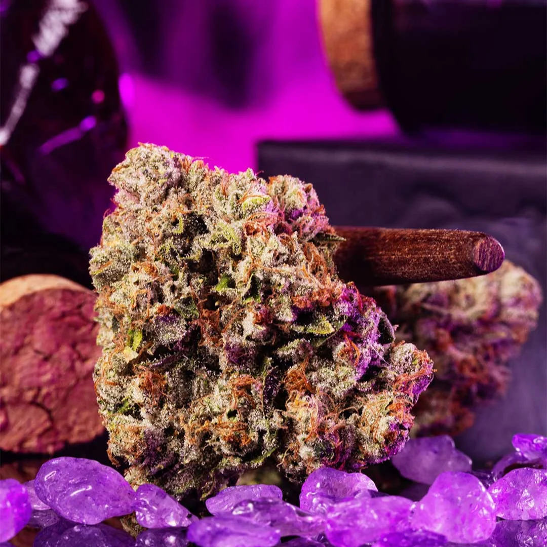 Wizard Trees Wizard Fuel Samen kaufen in Deutschland