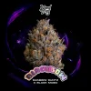 Wizard Trees Seeds Black Bow kaufen in Deutschland