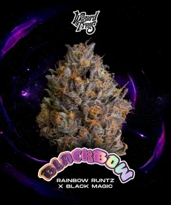 Wizard Trees Seeds Black Bow kaufen in Deutschland