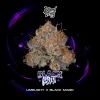 Wizard Trees Blacklight Cannabis Samen kaufen in Deutschland