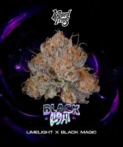 Wizard Trees Blacklight Cannabis Samen kaufen in Deutschland