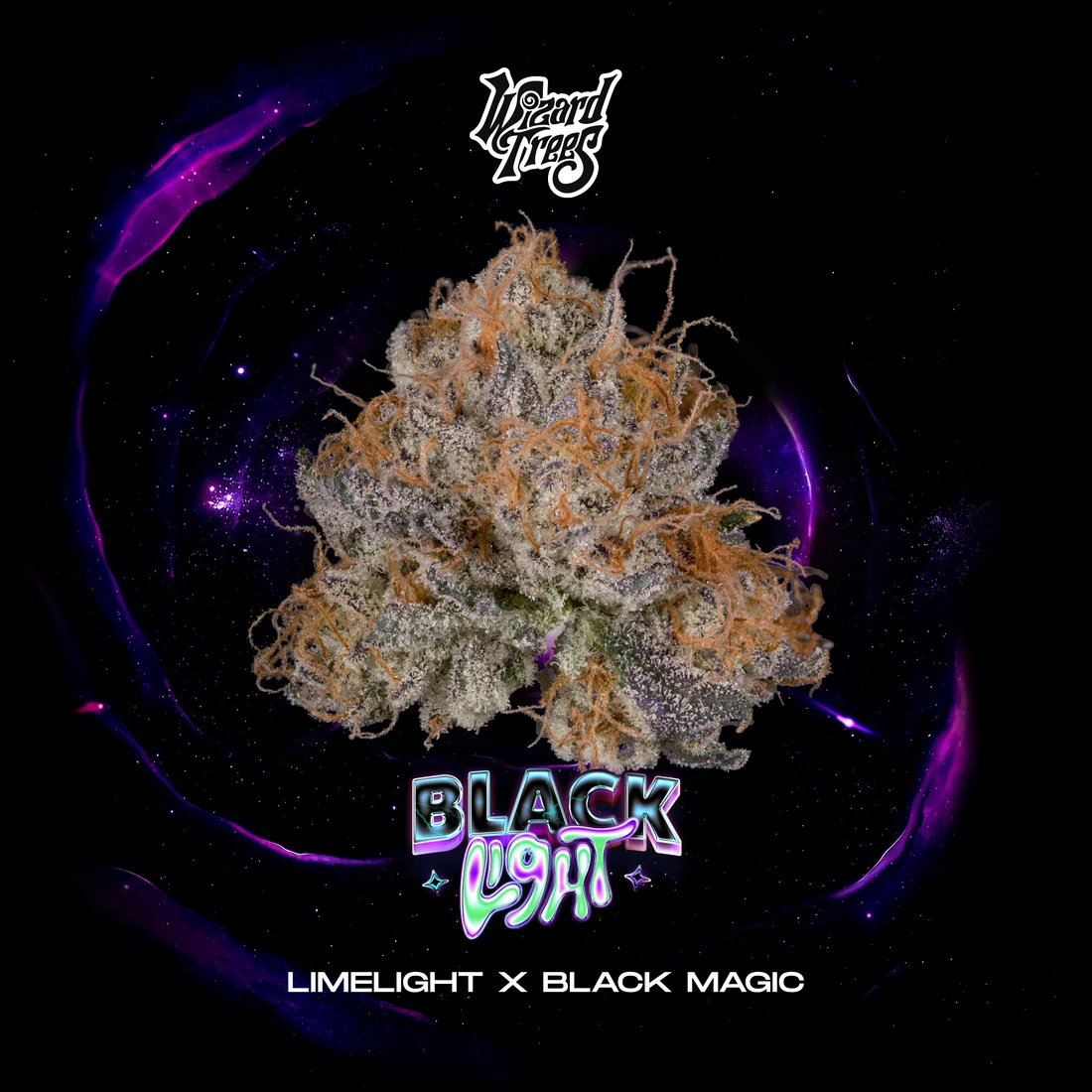 Wizard Trees Blacklight Cannabis Samen kaufen in Deutschland