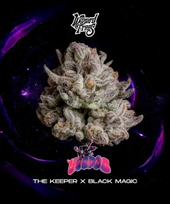 Wizard Trees Voodoo Samen kaufen in Deutschland