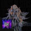 Wizard Trees Wizard Fuel Smalls 14g kaufen in Deutschland
