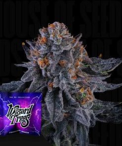 Wizard Trees Wizard Fuel Smalls 14g kaufen in Deutschland